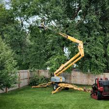 Best Tree Preservation Services  in USA